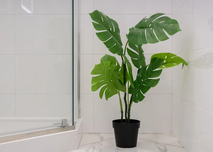 Underground Level Close To The Market Square In By Renters Apartment Poznan